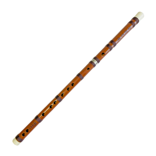 Beginner's Chinese Dizi Bamboo Flute